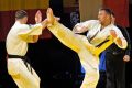 Gala karate