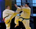 Gala karate