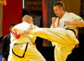 Gala karate