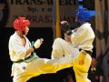 Gala karate