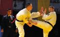 Gala karate