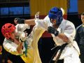 Gala karate