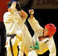 Gala karate