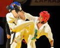 Gala karate