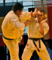 Gala karate