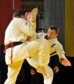 Gala karate