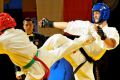 Gala karate
