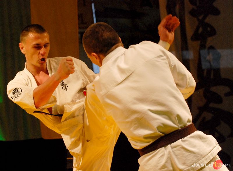 Międzynarodowa Gala Karate