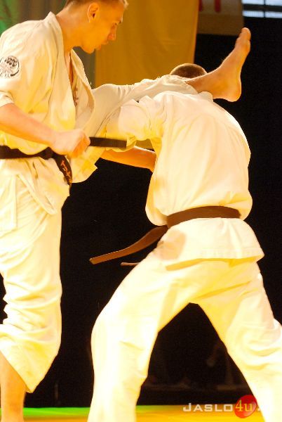 Międzynarodowa Gala Karate