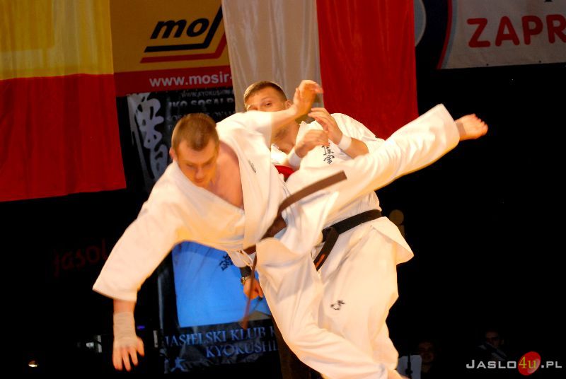 Międzynarodowa Gala Karate