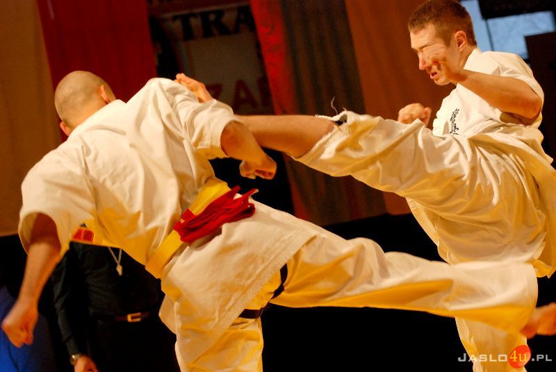 Międzynarodowa Gala Karate