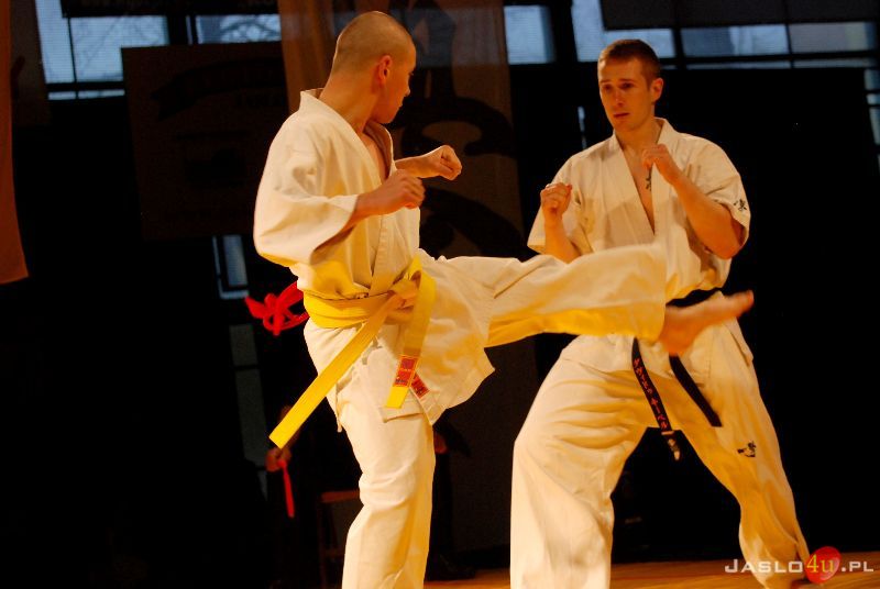 Międzynarodowa Gala Karate