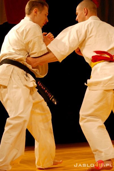 Międzynarodowa Gala Karate