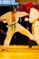 Międzynarodowa Gala Karate