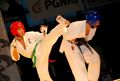 Międzynarodowa Gala Karate