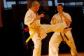 Międzynarodowa Gala Karate