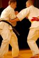 Międzynarodowa Gala Karate
