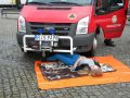 "Dzień Dawcy Szpiku" w Kołaczycach