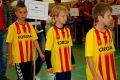 Wyszehradzki Festiwal Sportu