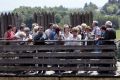 Zlot Uniwersytetu Trzeciego Wieku