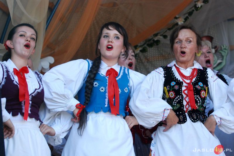 Miodobranie w Kołaczycach