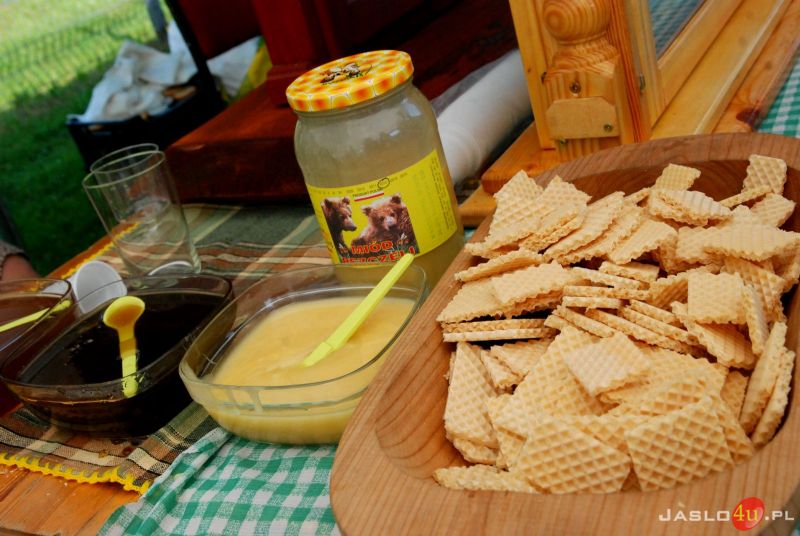 Miodobranie w Kołaczycach