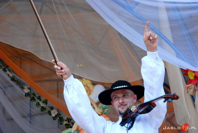 Miodobranie w Kołaczycach