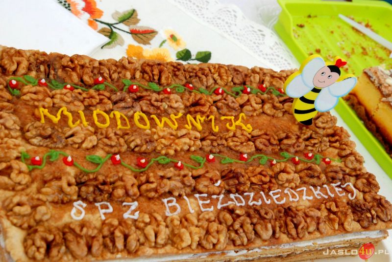 Miodobranie w Kołaczycach