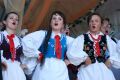 Miodobranie w Kołaczycach
