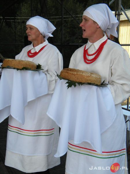 Dożynki Powiatowe 2012 w Dębowcu