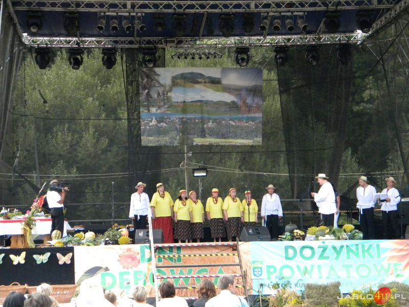 Dożynki Powiatowe 2012 w Dębowcu