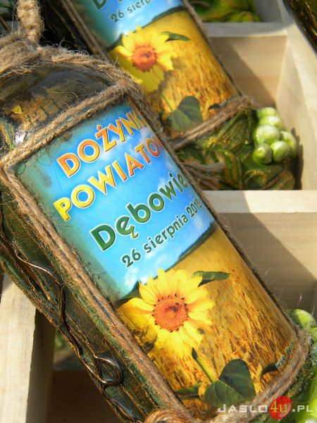 Dożynki Powiatowe 2012 w Dębowcu