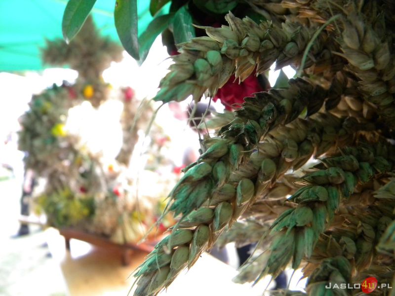 Dożynki Powiatowe 2012 w Dębowcu