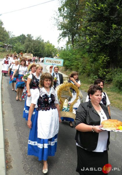 Dożynki Powiatowe 2012 w Dębowcu