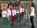Dożynki Powiatowe 2012 w Dębowcu
