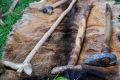 II Karpacki Festiwal Archeologiczny Dwa Oblicza w Trzcinicy