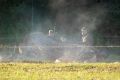 III Memoriał mjr Henryka Dobrzańskiego "Hubala"
