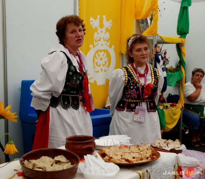 VII Międzynarodowe Dni Wina w Jaśle cz. 1