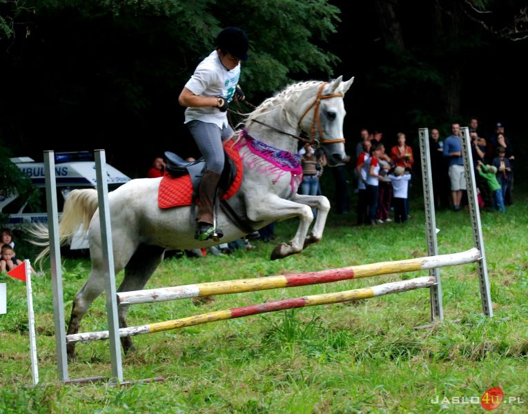 X Piknik z Konikiem Polskim