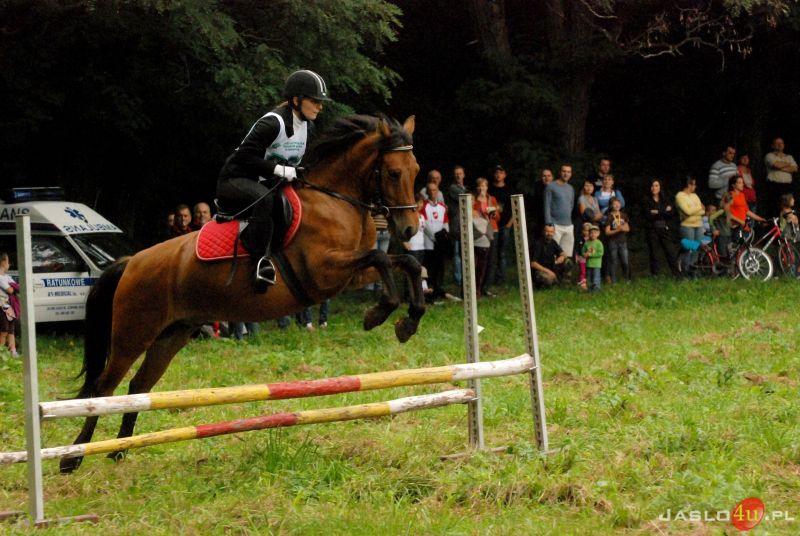 X Piknik z Konikiem Polskim