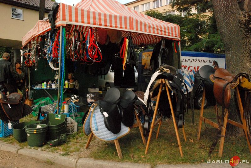 X Piknik z Konikiem Polskim