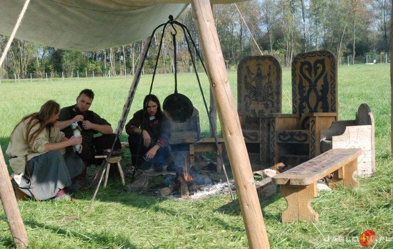 Od Troi po Bałtyk - Świat Wikingów