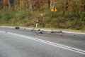 Wypadek na drodze  wojewódzkiej relacji Jasło-Rzeszów