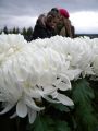 Wszystkich Świętych - cmentarz w Dębowcu