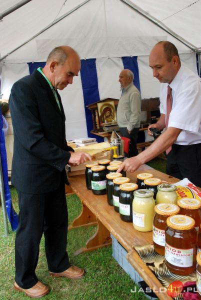 Miodobranie w Kołaczycach