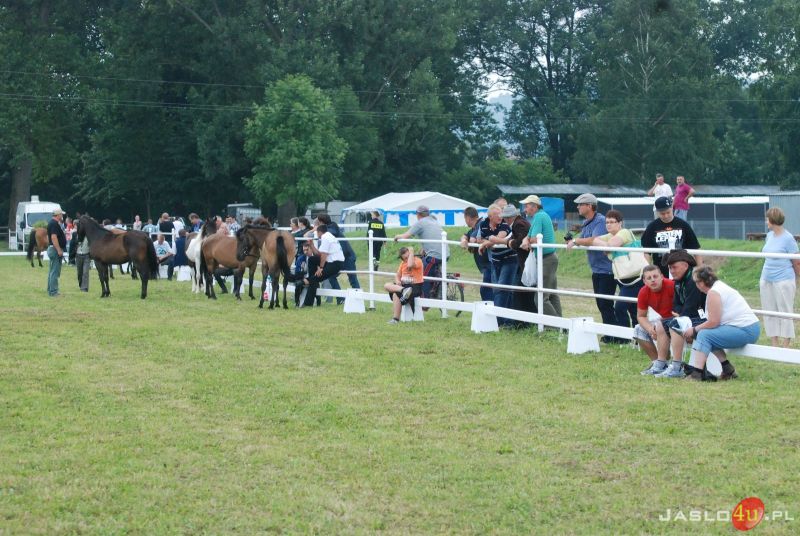 XIII Ogólnopolski Czempionat Młodzieżowy koni rasy huculskiej