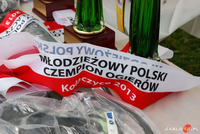 XIII Ogólnopolski Czempionat Młodzieżowy koni rasy huculskiej