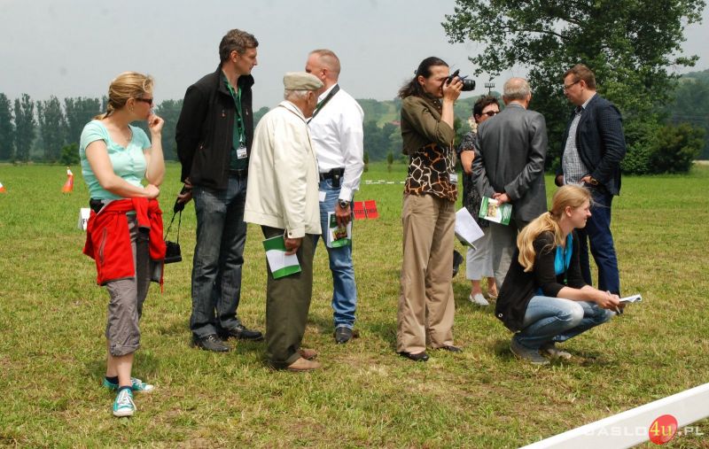 XIII Ogólnopolski Czempionat Młodzieżowy koni rasy huculskiej