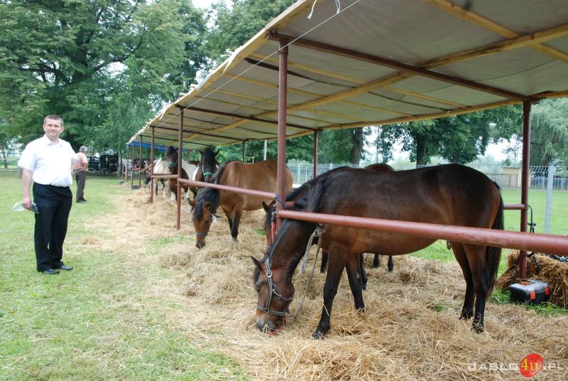 XIII Ogólnopolski Czempionat Młodzieżowy koni rasy huculskiej
