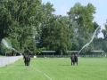 Zgrupowanie survivalowe klas mundurowych o profilu policyjno-strażackim LO w Kołaczycach